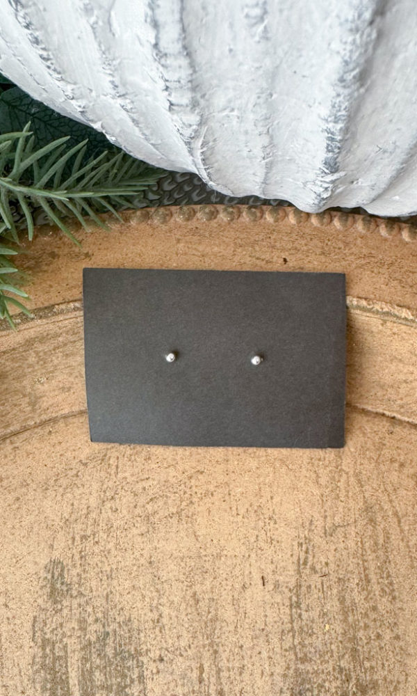 Naušnice stříbrná PECKA